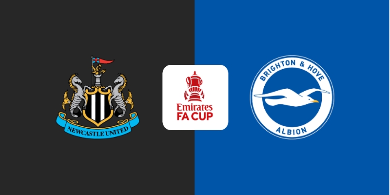 Đọc Kèo Trận Brighton & Hove Albion vs Newcastle United: Phân Tích Chi Tiết 3 Brighton & Hove Albion vs Newcastle United